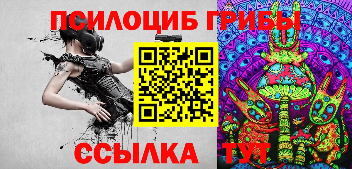 Псилоцибиновые грибы Psilocybe  Вход с VPN  продажа наркотиков  Печора 