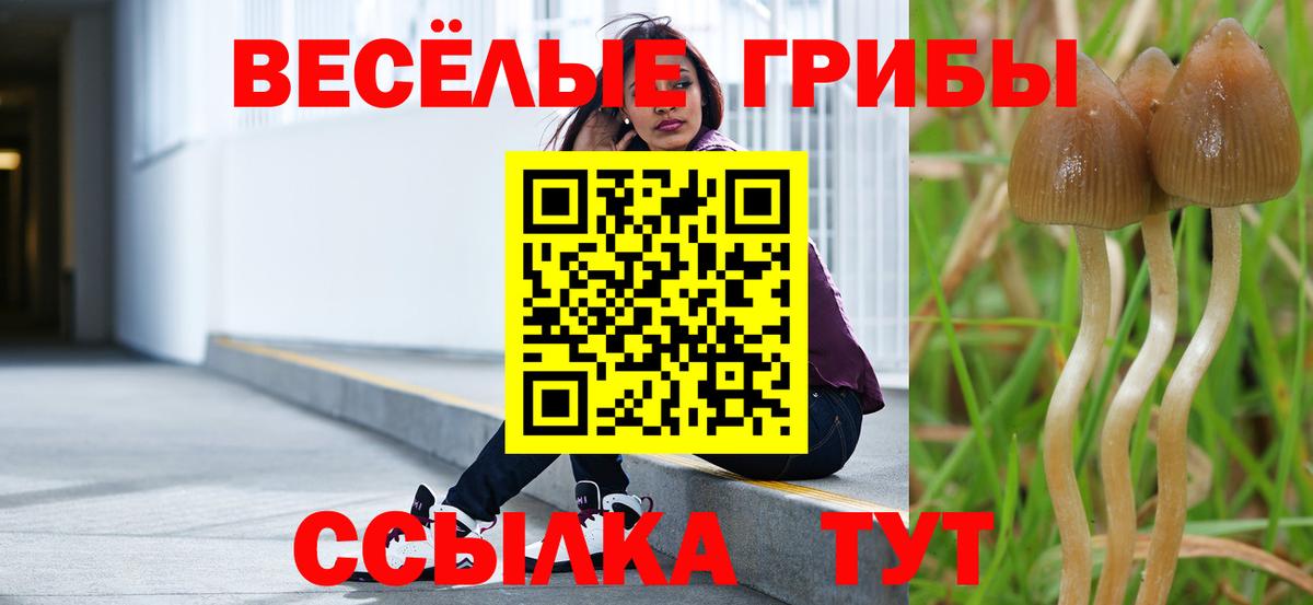 Псилоцибиновые грибы ЛСД Печора
